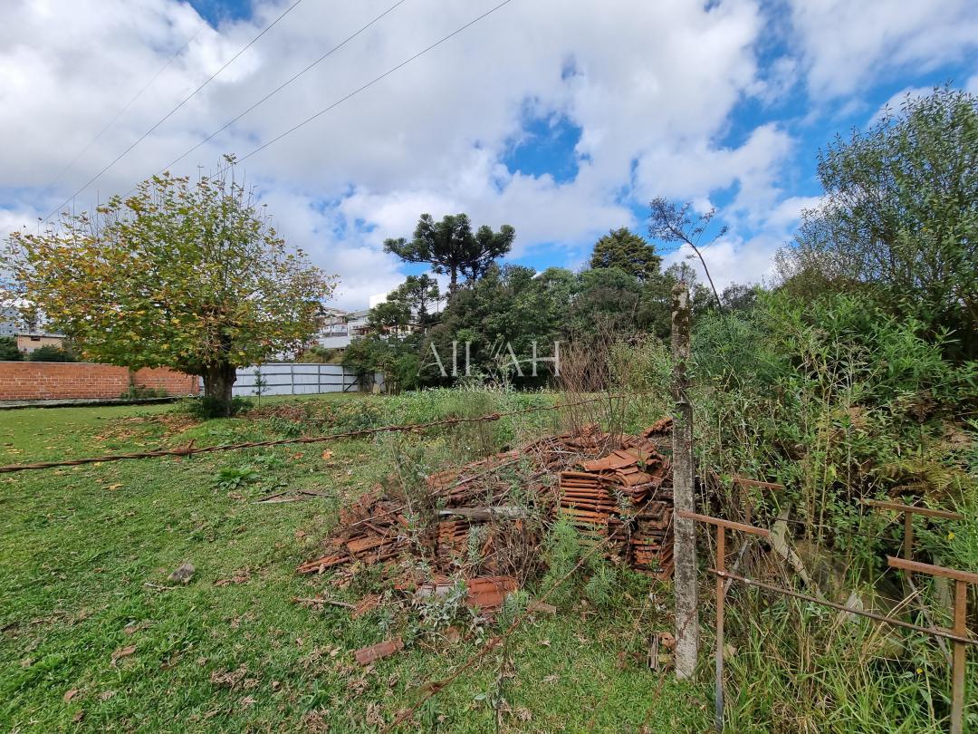 Terreno, 18670 m² - Foto 4