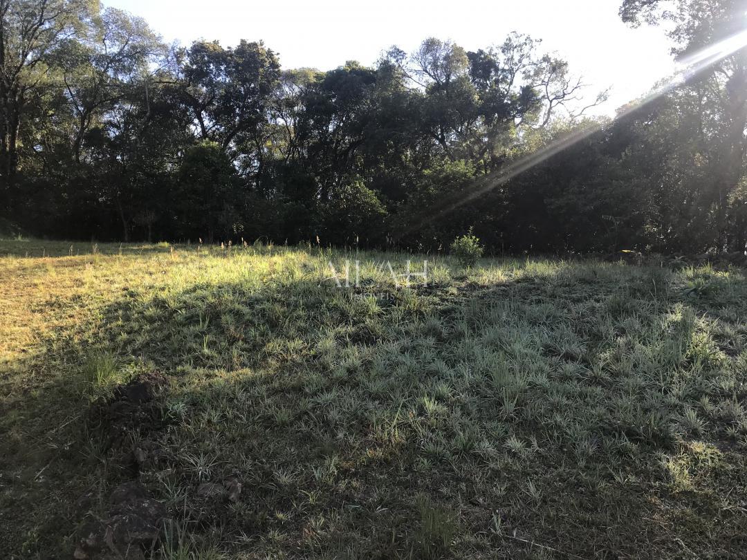 Terreno, 996 m² - Foto 2