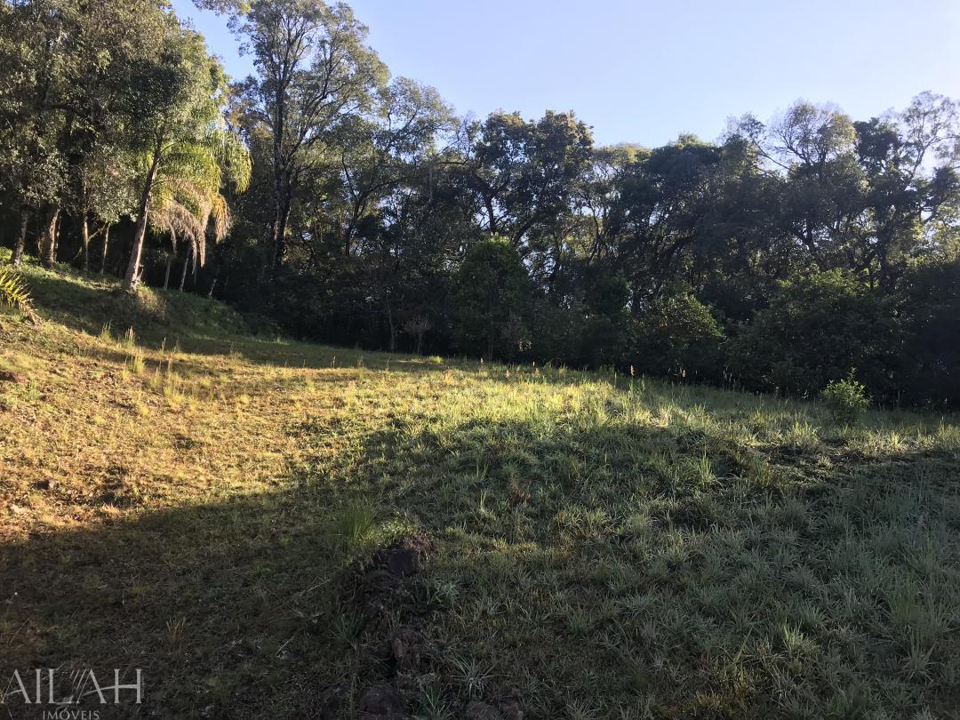 Terreno, 1027 m² - Foto 4
