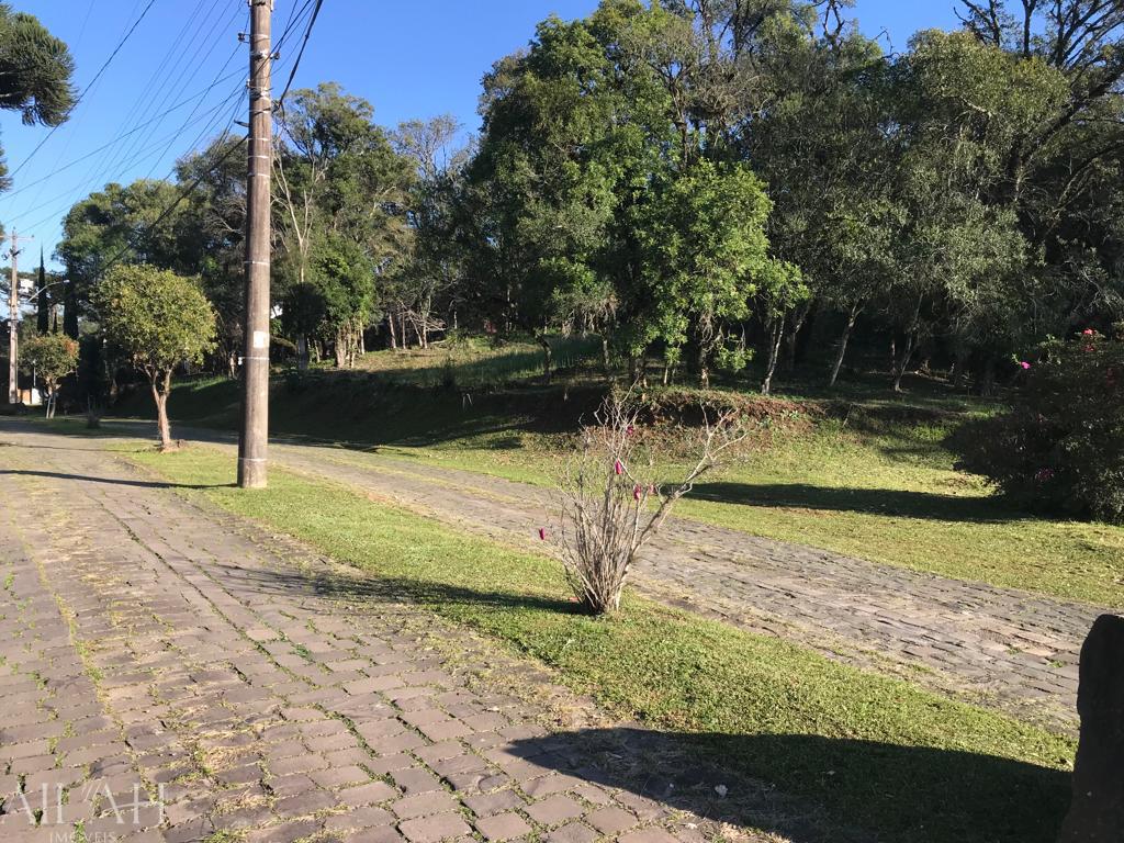 Terreno, 1027 m² - Foto 9
