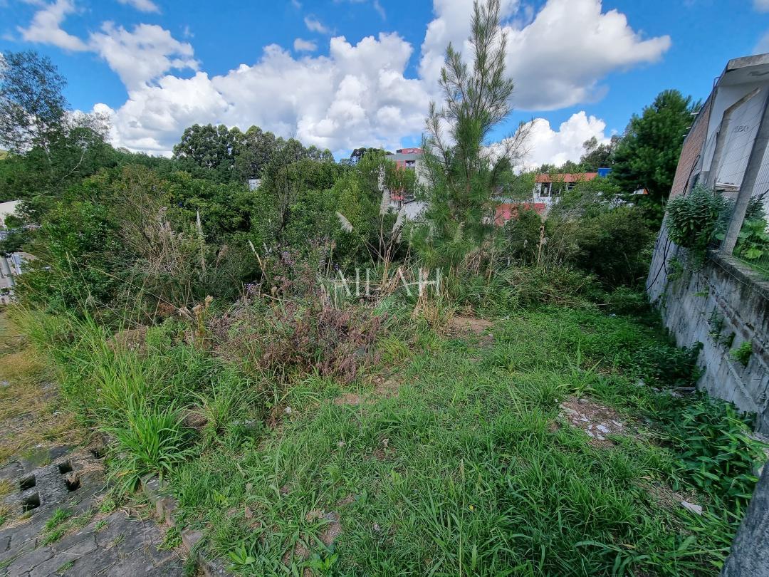 Terreno, 360 m² - Foto 3