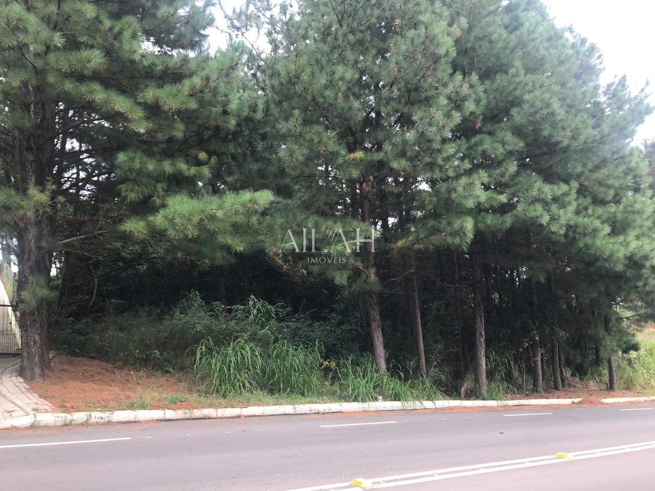 Terreno, 5 m² - Foto 2