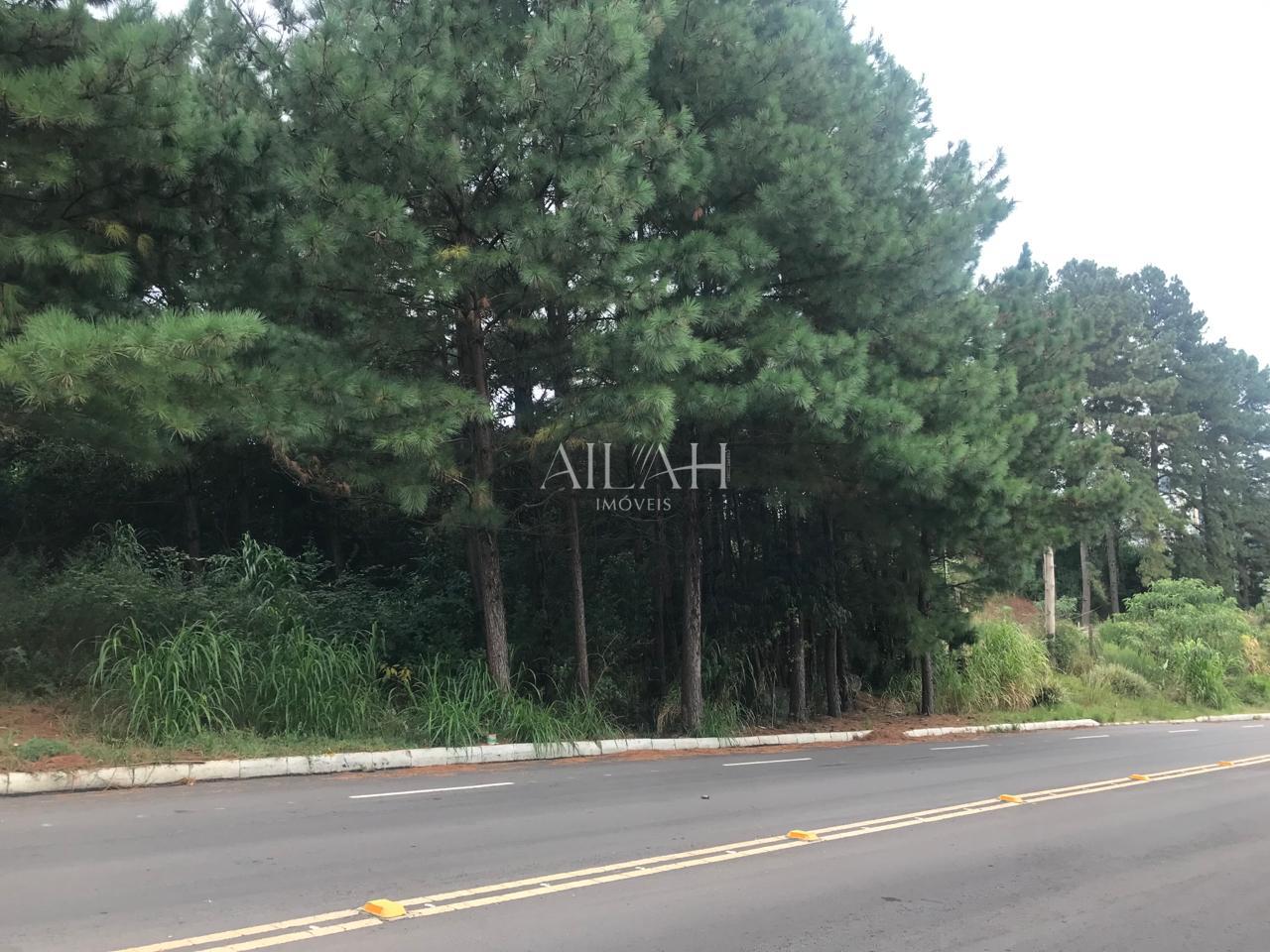 Terreno, 5 m² - Foto 3