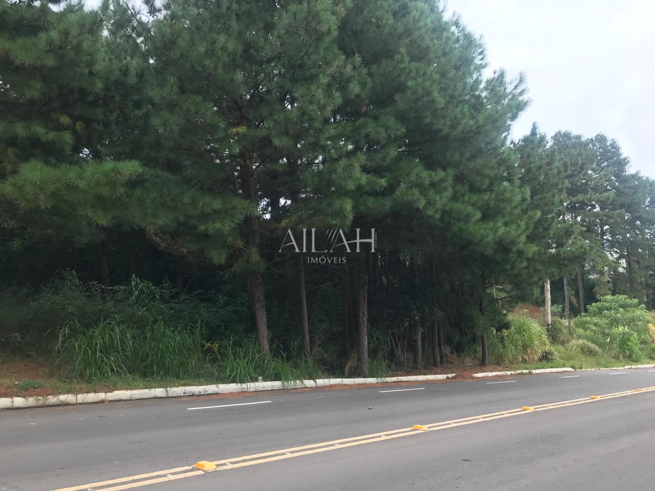 Terreno, 5 m² - Foto 4