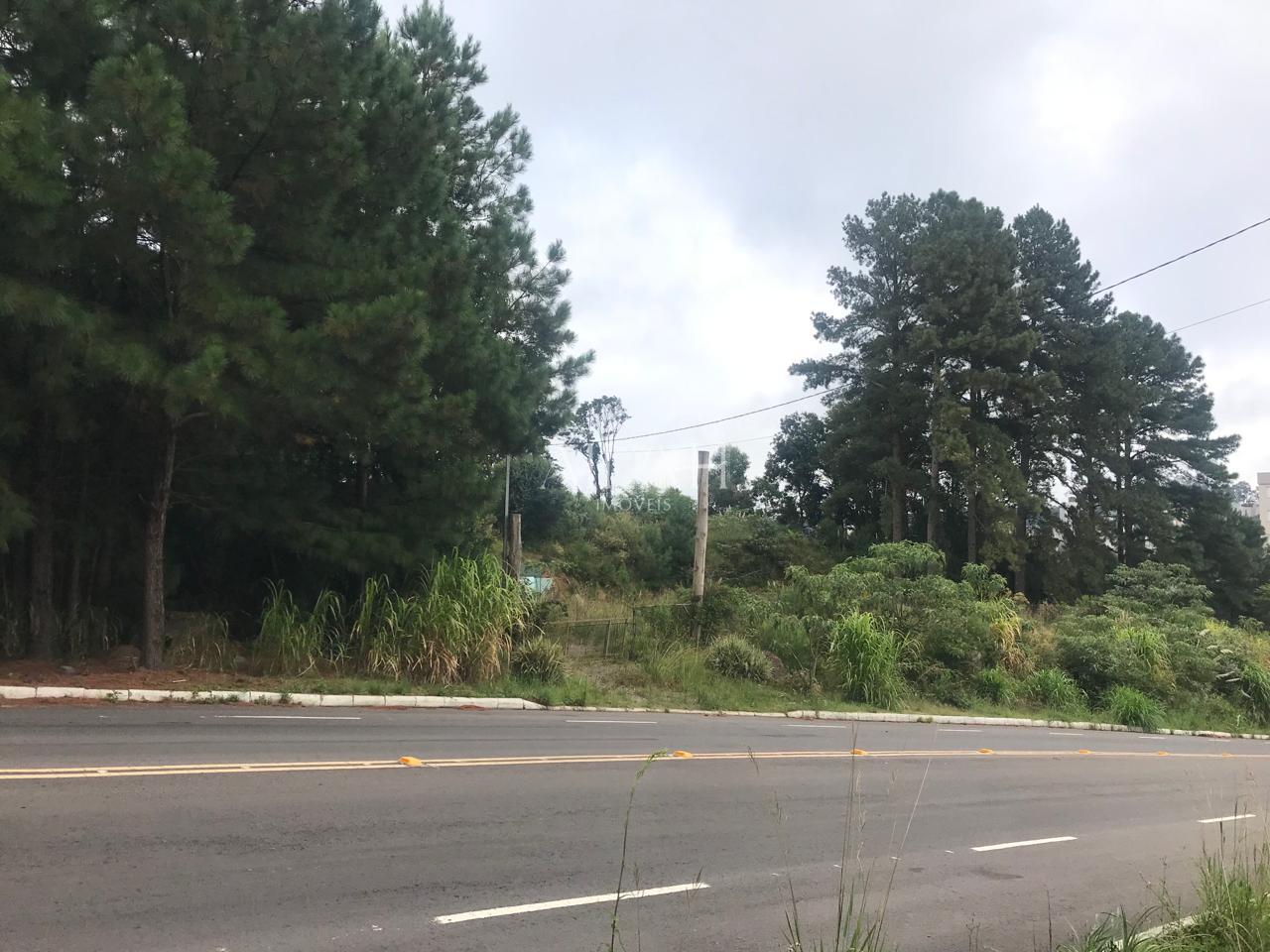 Terreno, 5 m² - Foto 5