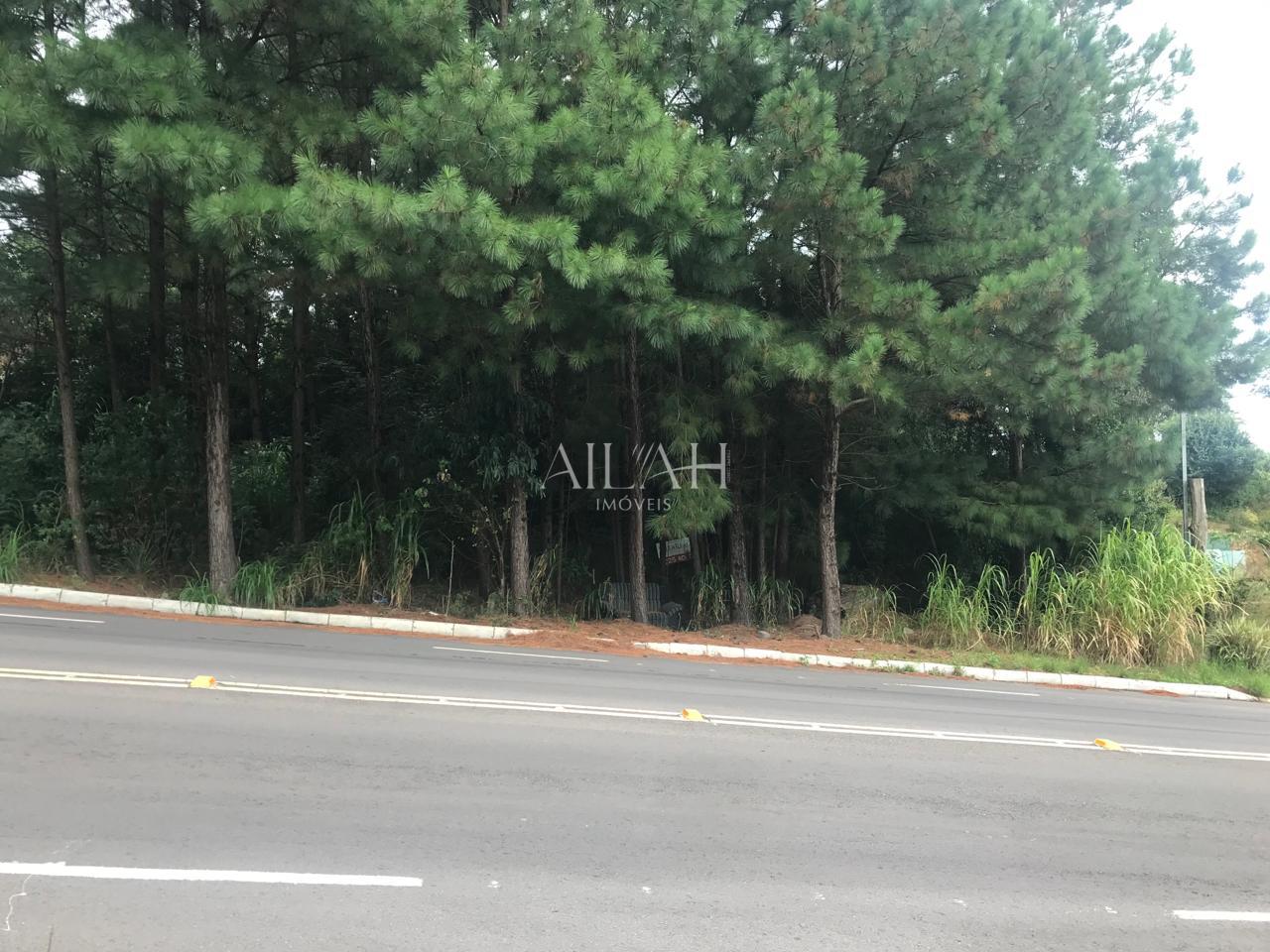 Terreno, 5 m² - Foto 1