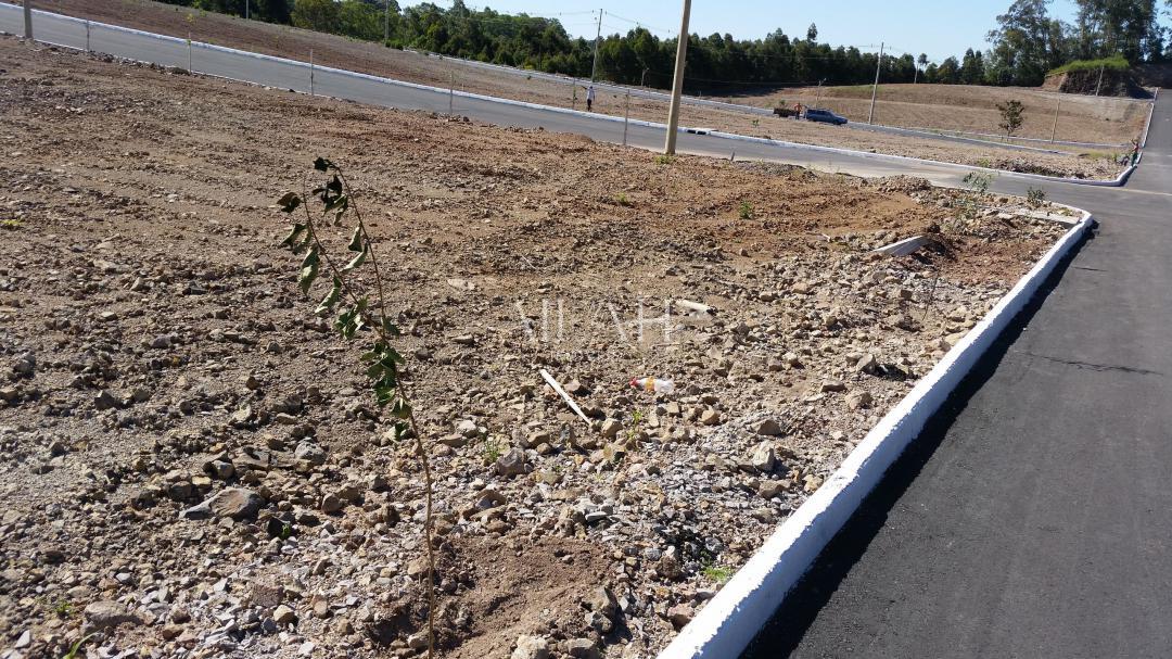 Terreno, 360 m² - Foto 14