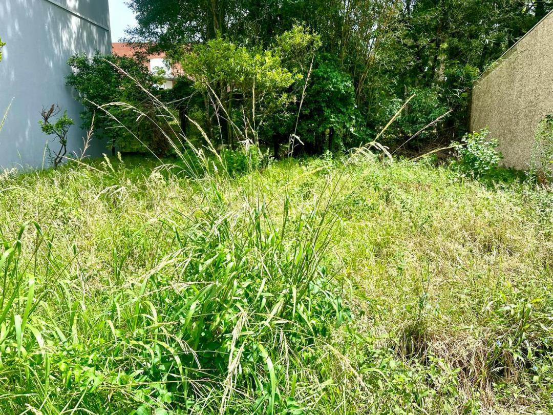 Terreno, 334 m² - Foto 1