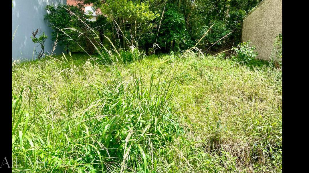 Terreno, 334 m² - Foto 5