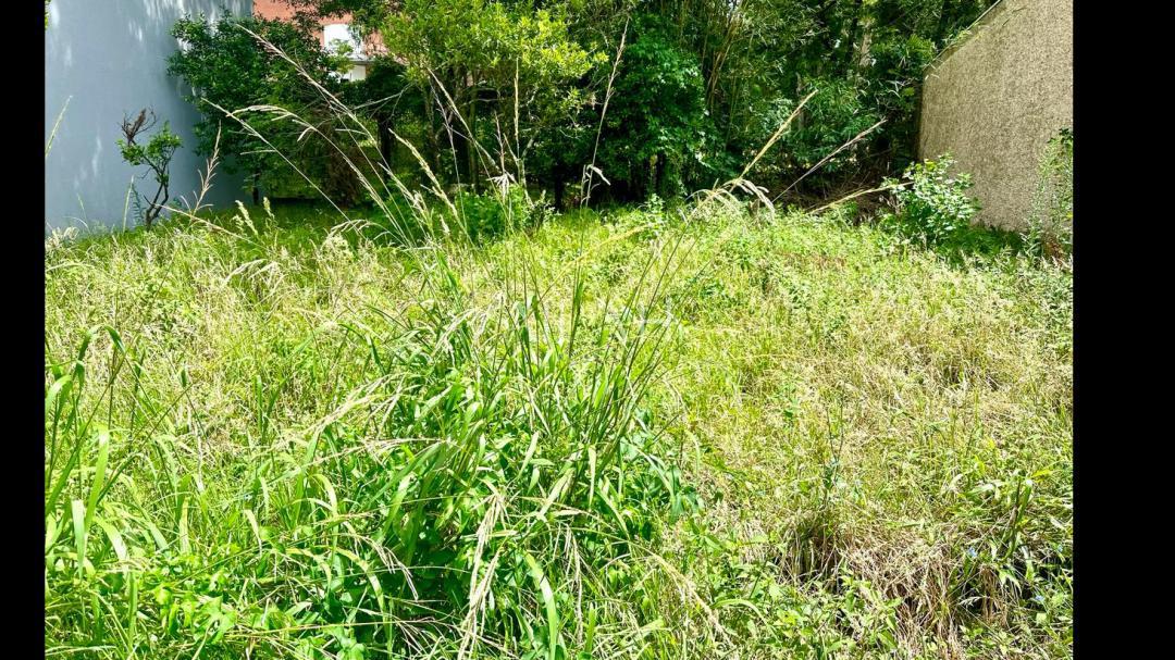 Terreno, 334 m² - Foto 5