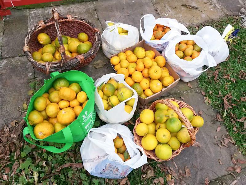 Casa de Condomínio, 3 quartos - Foto 29