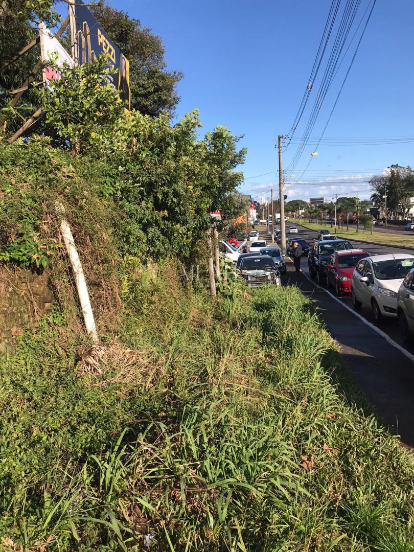 Terreno, 587 m² - Foto 3