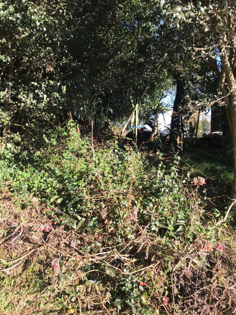 Terreno, 587 m² - Foto 4