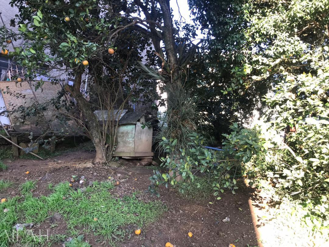 Terreno, 587 m² - Foto 5