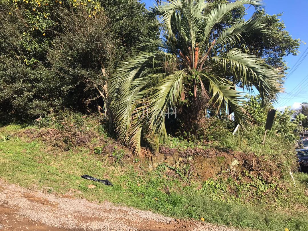 Terreno, 587 m² - Foto 7