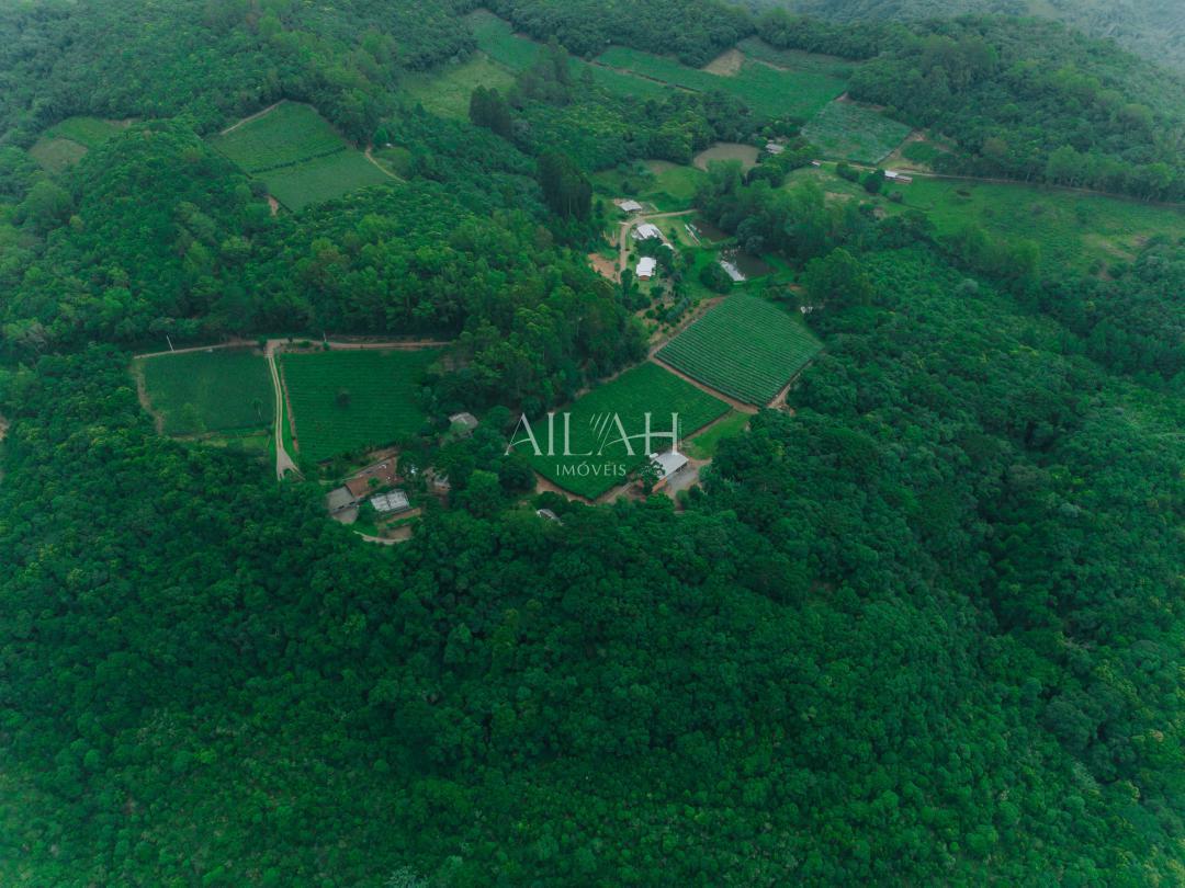 Chácara, 3 quartos - Foto 3