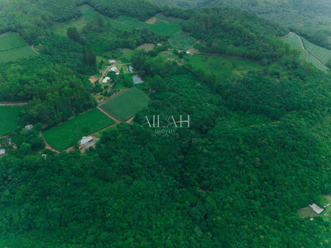 Chácara, 3 quartos - Foto 4