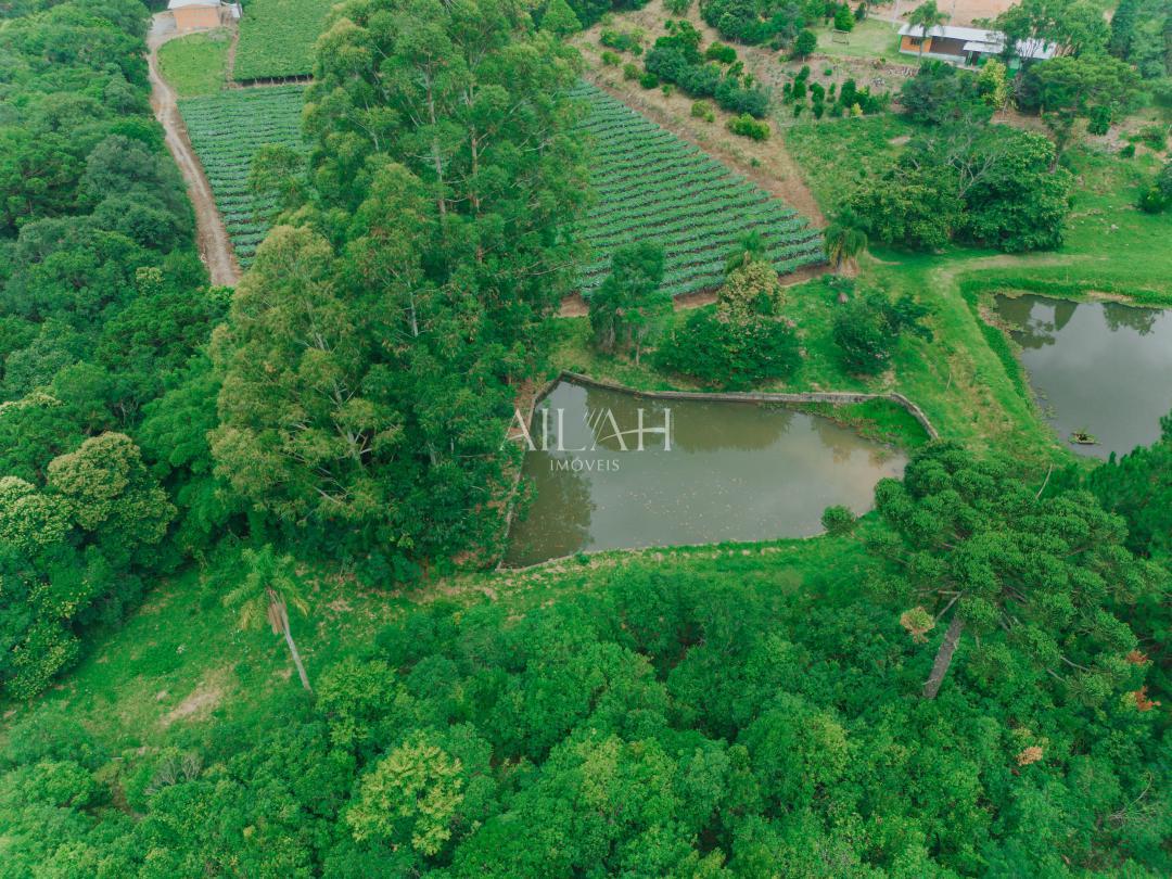 Chácara, 3 quartos - Foto 5