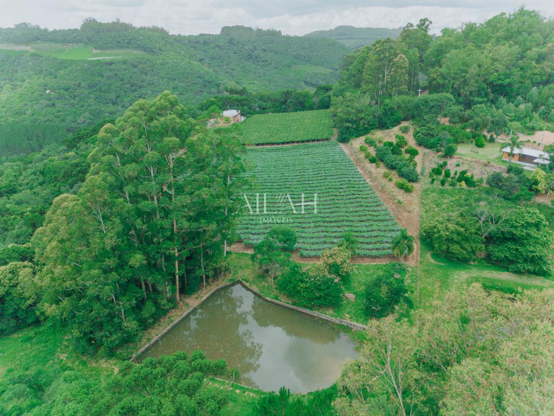 Chácara, 3 quartos - Foto 6