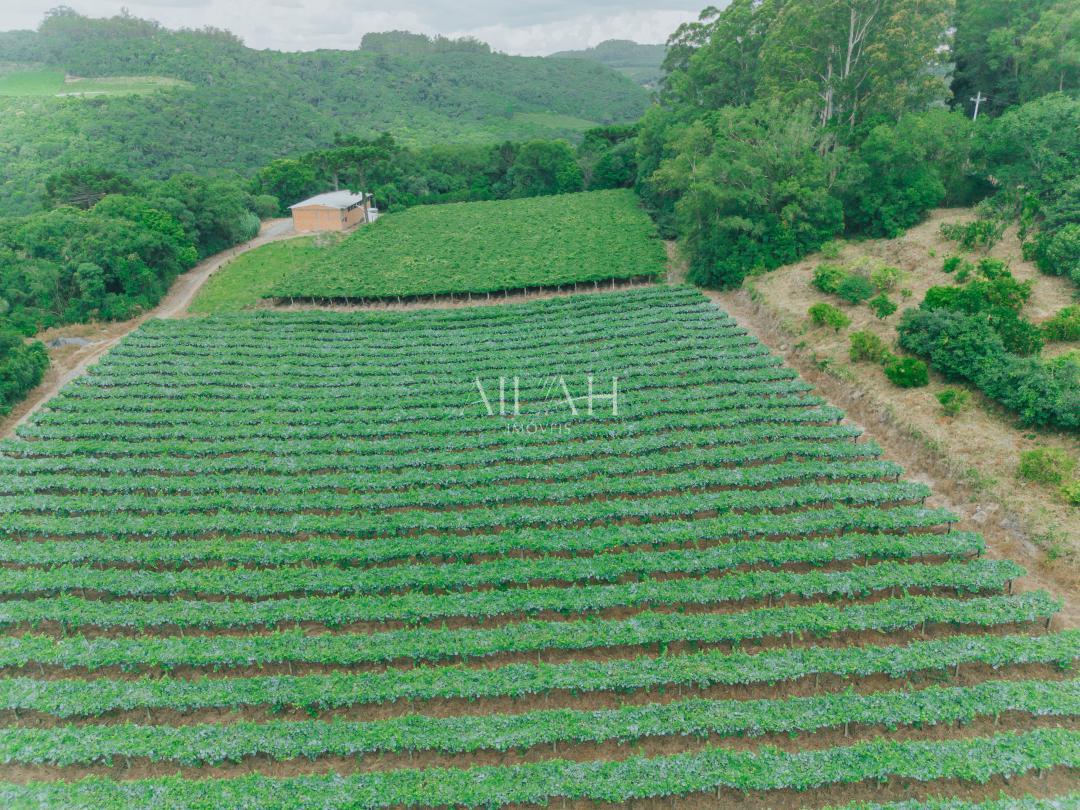 Chácara, 3 quartos - Foto 7