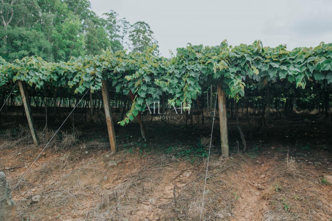 Chácara, 3 quartos - Foto 12