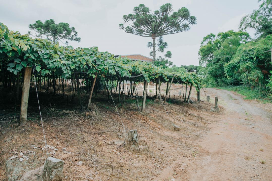 Chácara, 3 quartos - Foto 13