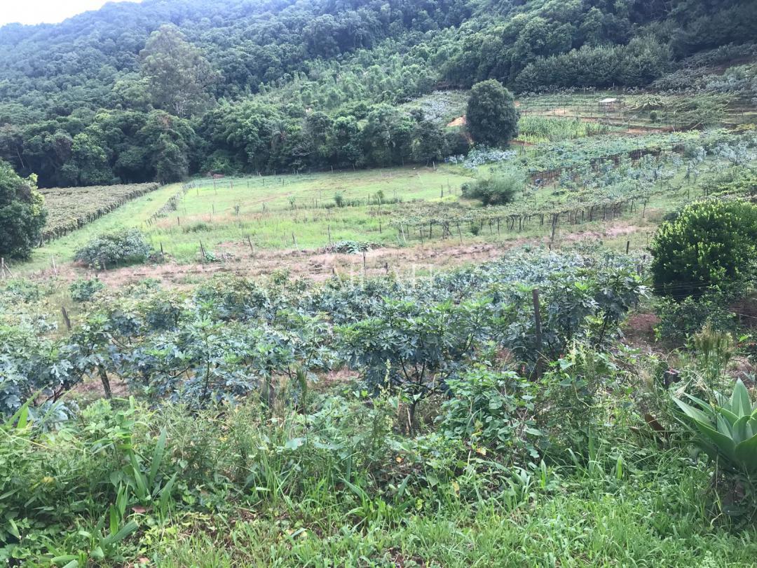 Terreno, 6 m² - Foto 3