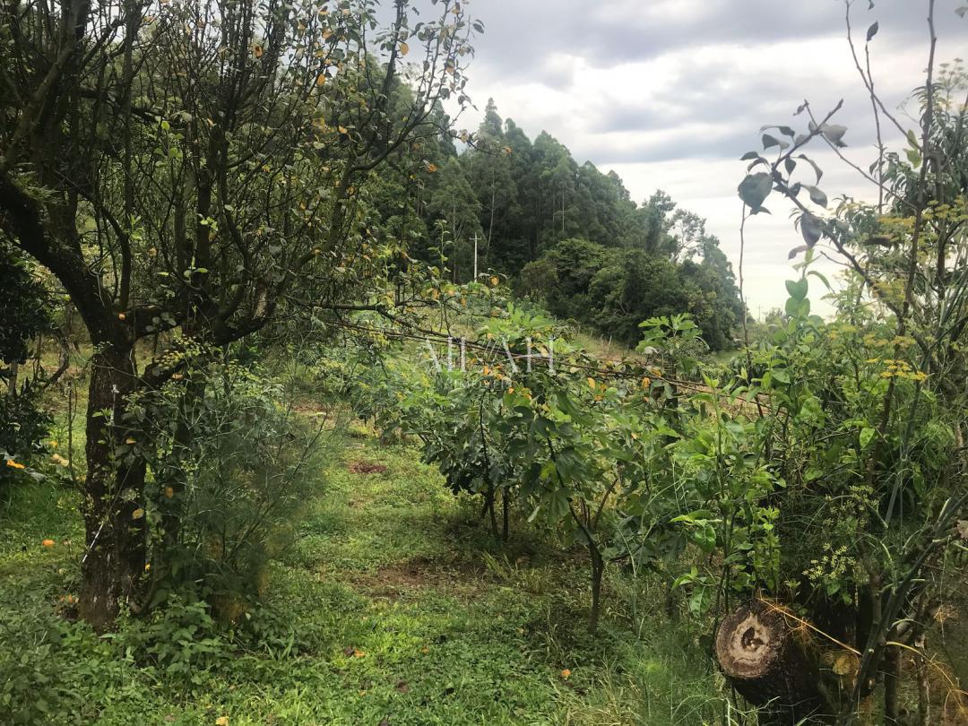 Terreno, 6 m² - Foto 14