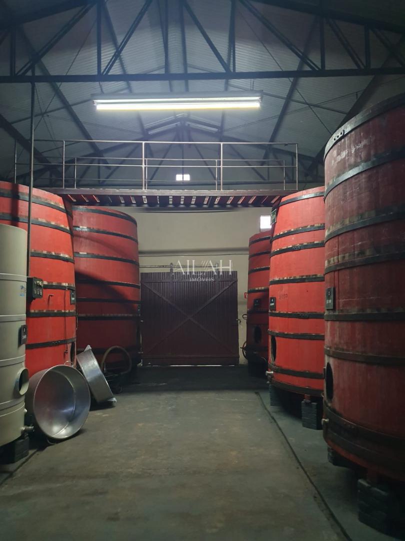 Terreno, 20 m² - Foto 11