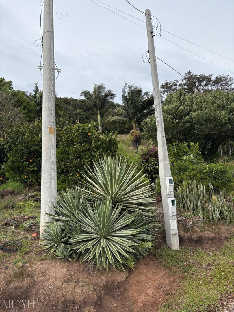 Chácara - Foto 16
