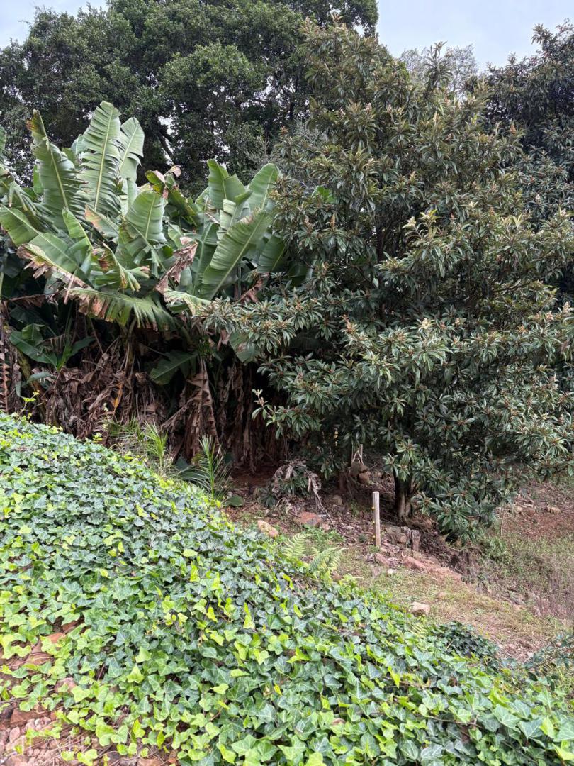 Chácara - Foto 30