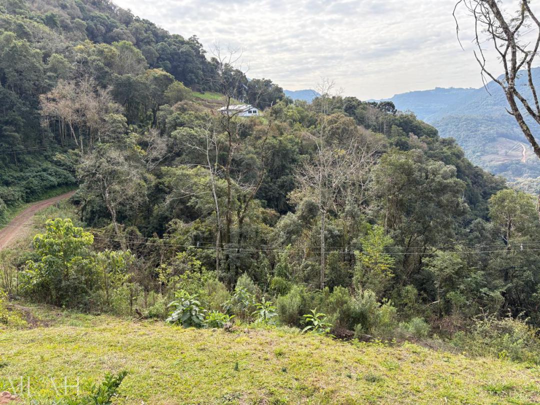 Chácara - Foto 11