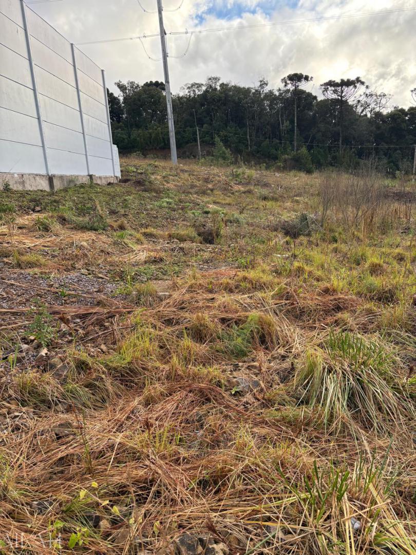 Terreno, 20 m² - Foto 3