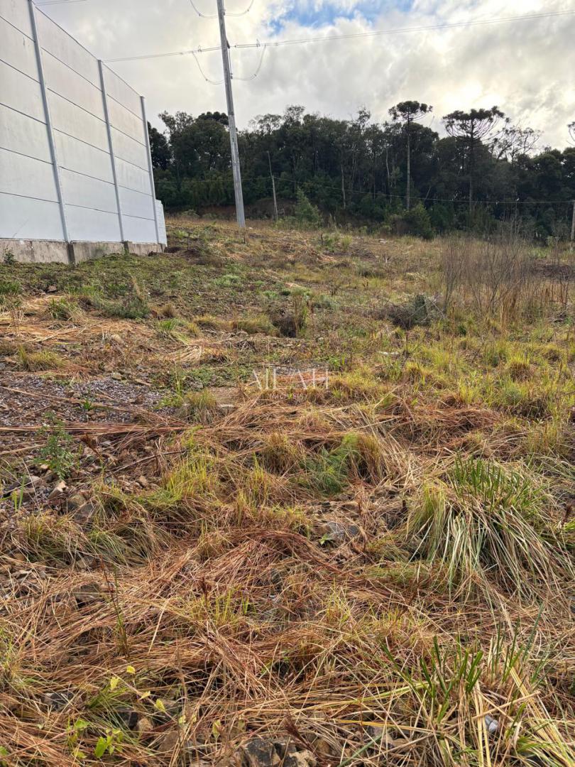 Terreno, 20 m² - Foto 3