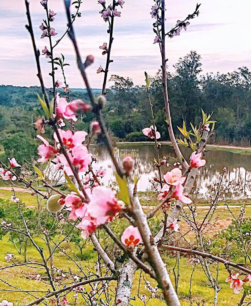 Terreno, 1000 m² - Foto 45