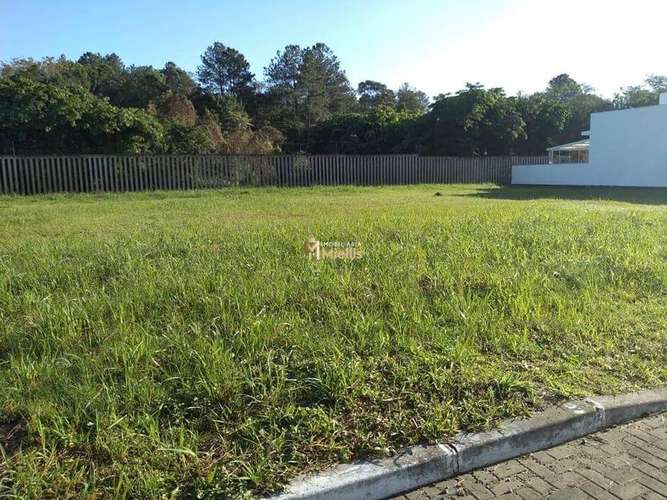 Terreno, 250 m² - Foto 3