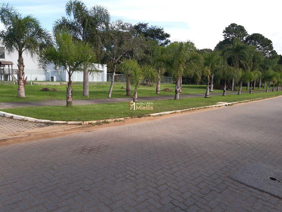 Terreno, 250 m² - Foto 2