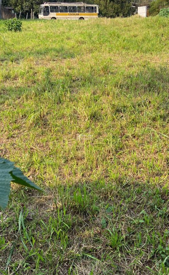 Terreno, 2550 m² - Foto 3