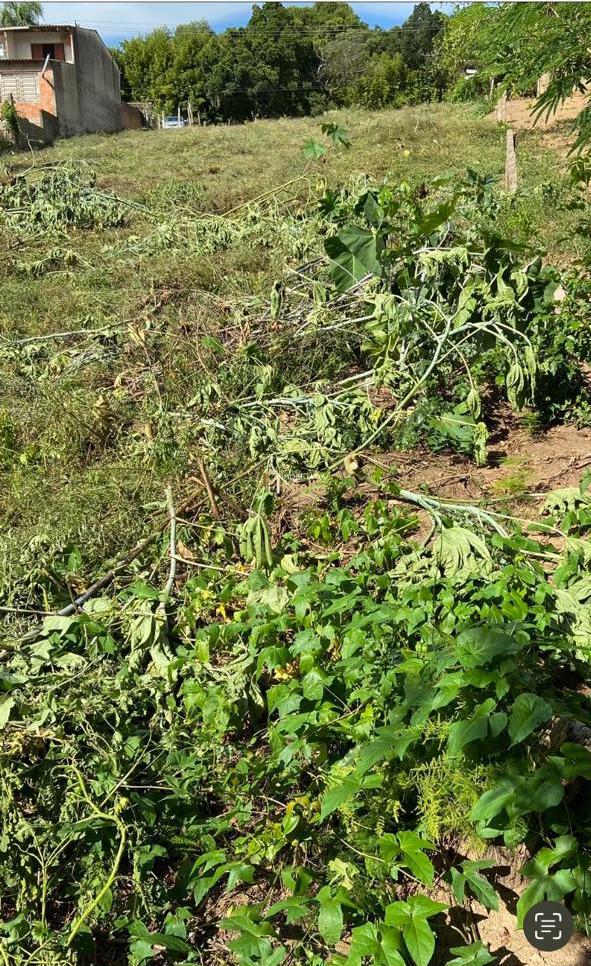 Terreno, 2550 m² - Foto 4