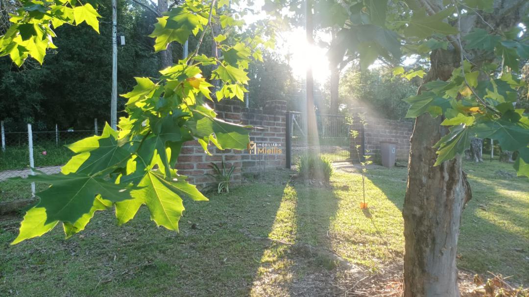 Sítio, 3 quartos, 100 m² - Foto 3