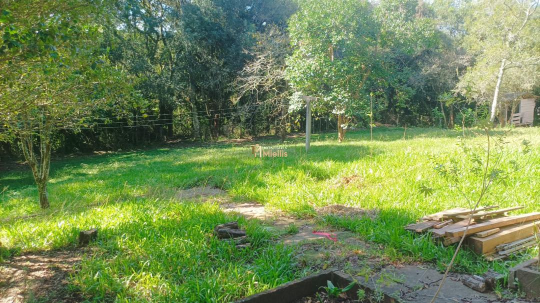 Sítio, 3 quartos, 100 m² - Foto 4