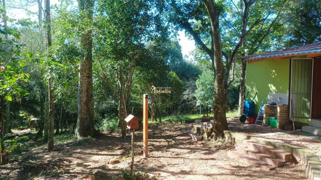 Sítio, 3 quartos, 100 m² - Foto 5