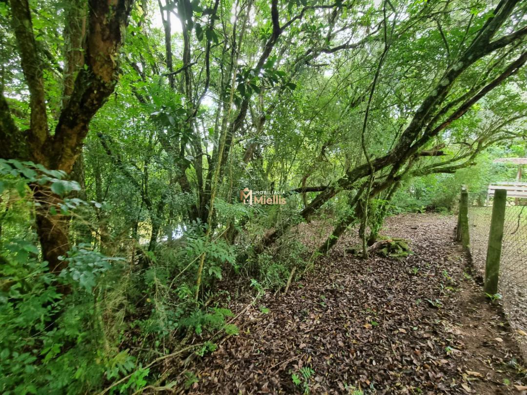 Sítio, 3 quartos, 100 m² - Foto 6