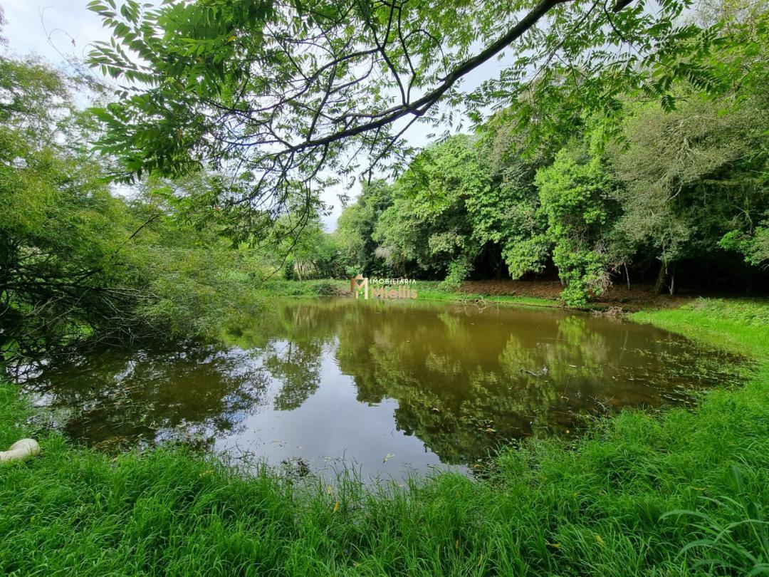 Sítio, 3 quartos, 100 m² - Foto 10