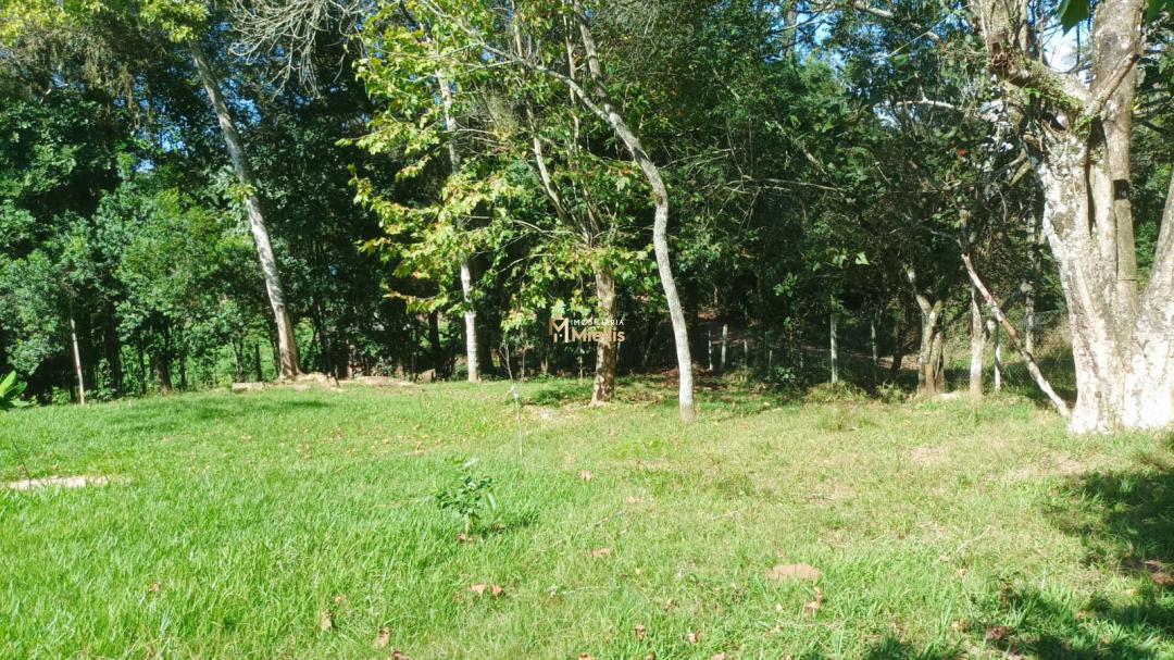 Sítio, 3 quartos, 100 m² - Foto 12