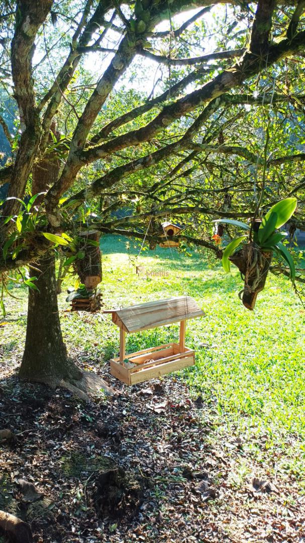 Sítio, 3 quartos, 100 m² - Foto 21