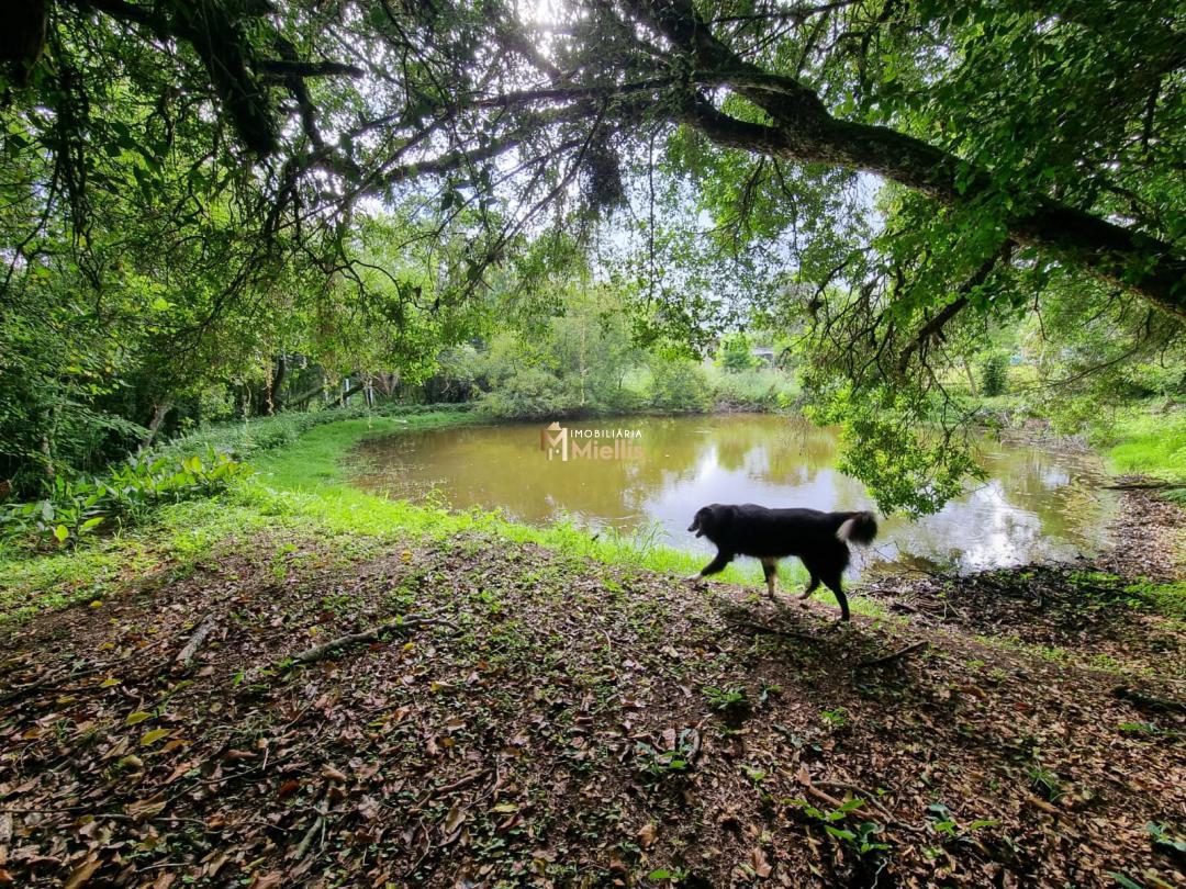 Sítio, 3 quartos, 100 m² - Foto 22