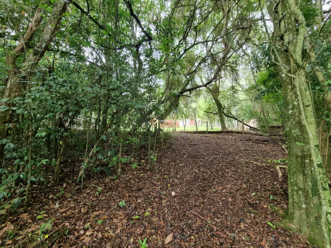 Sítio, 3 quartos, 100 m² - Foto 38