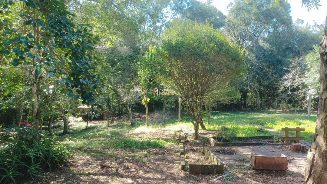 Sítio, 3 quartos, 100 m² - Foto 46