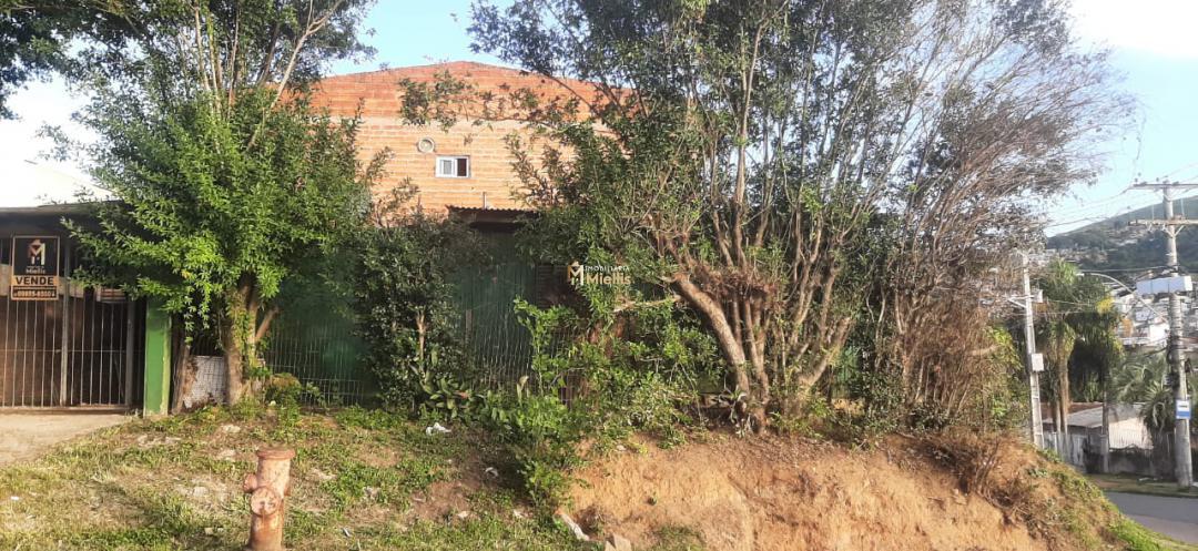 Terreno, 132 m² - Foto 6